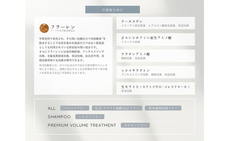 BH4 プレミアムリペアトリートメント　300g