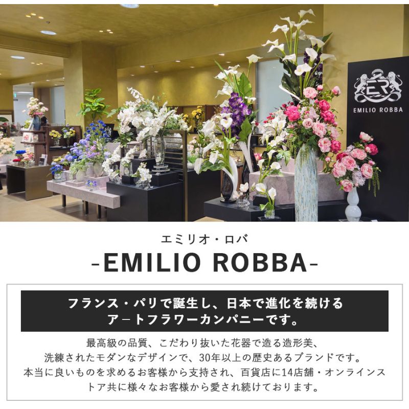 エミリオロバ　卓上プランツＡセット