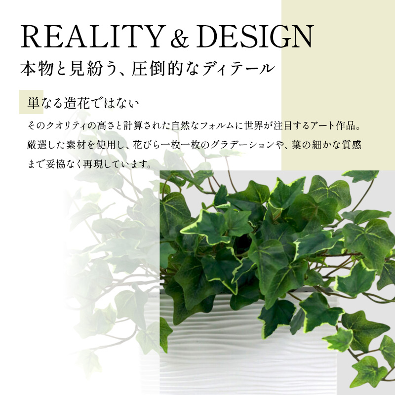 エミリオロバ　卓上プランツＢセット