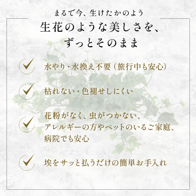 エミリオロバ　卓上プランツＢセット