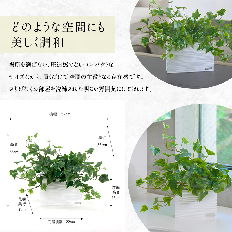 エミリオロバ　卓上プランツＢセット