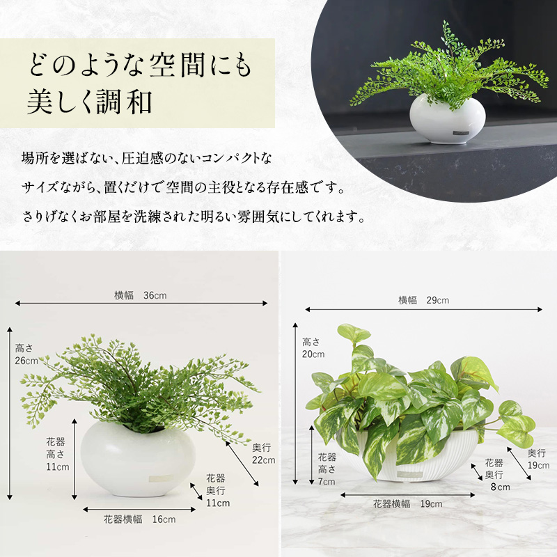 エミリオロバ　卓上プランツセットＣ