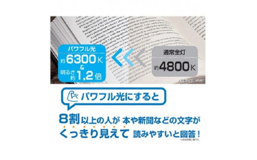 6畳用 パワフル光シーリングライト GUC60173