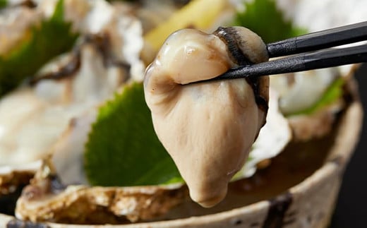 10-12生食用　剥き身牡蠣500ｇ