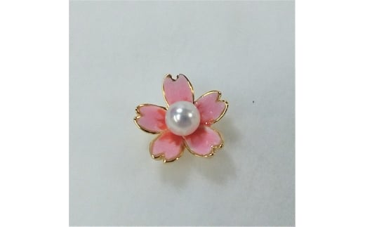 10-62äŒå¢å¿æ©ãããæ¬çç ãããŒããã³(ããã)