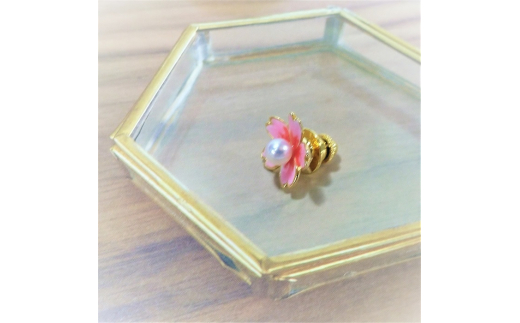 10-62äŒå¢å¿æ©ãããæ¬çç ãããŒããã³(ããã)