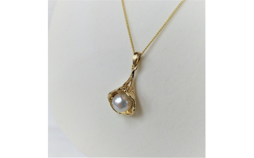 10-67äŒå¢å¿æ©ãããæ¬çç ãã³ãã³ã(ããã¥ã©ã«ãããã¯)G