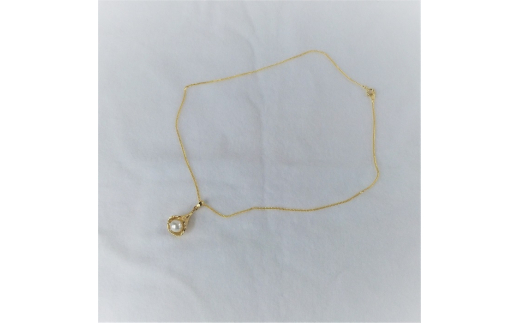 10-67äŒå¢å¿æ©ãããæ¬çç ãã³ãã³ã(ããã¥ã©ã«ãããã¯)G