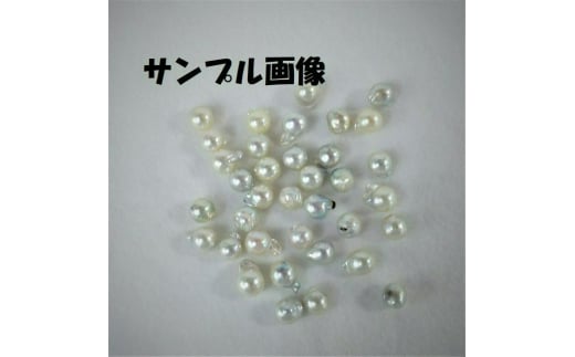 10-67äŒå¢å¿æ©ãããæ¬çç ãã³ãã³ã(ããã¥ã©ã«ãããã¯)G