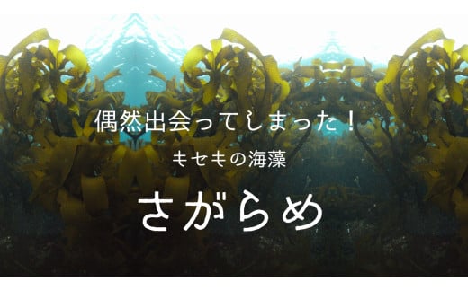 100-53è¶
ä¿æ¹¿ã¹ãã³ã±ã¢ãããããããã¯ïŒèå¬ãã§ã€ã¹ãã¹ã¯SRïŒ60æå
¥ã è¶
ä¿æ¹¿ã§ãã£ãšããã€èãž