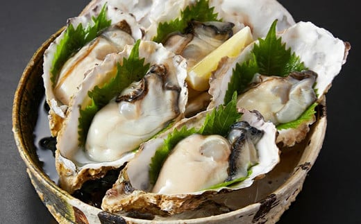 I-55生食用浦村牡蠣１５個入りセット