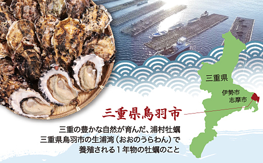 【先行予約／2026年12月より順次発送】I-55生食用浦村牡蠣１５個入りセット