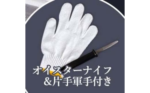I-55生食用浦村牡蠣１５個入りセット