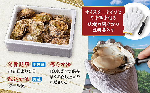 【先行予約／2026年12月より順次発送】I-55生食用浦村牡蠣１５個入りセット