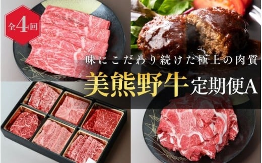 【全4回】美熊野牛 定期便A ＜すき焼きしゃぶしゃぶ用ロース＆赤身モモ肉 400g・切り落とし 400g・焼肉用6種食べ比べ 500ｇ・100％ハンバーグ 100g×5個＞  牛肉 肉 ブランド牛 和牛 黒毛和牛 国産牛 すき焼き しゃぶしゃぶ 赤身 赤身肉 焼肉 ハンバーグ 惣菜 肉定期便 人気 希少 おすすめ 三重県 熊野市【okad-tkb0019】