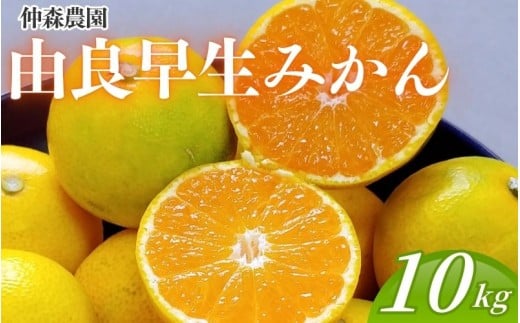 仲森農園の由良早生みかん 約10kg みかん ミカン 蜜柑 温州みかん 温州ミカン 柑橘 フルーツ 果物 くだもの 早生 甘い 旬 希少 数量限定 期間限定 産地直送 三重県 熊野市【2026年11月上旬頃～11月中旬頃に順次発送】【nkmr0022】
