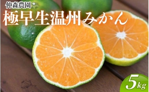 仲森農園の極早生温州みかん 約5kg みかん ミカン 蜜柑 温州みかん 温州ミカン 柑橘 フルーツ 果物 くだもの 甘い 旬 数量限定 期間限定 産地直送 10000円 三重県 熊野市【2026年9月下旬頃～10月下旬頃に順次発送】【nkmr0016】