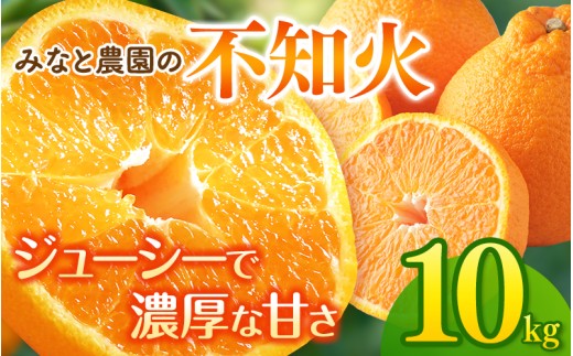 ãå
è¡äºçŽããæ°ééå®ãã¿ãªãšèŸ²åã®äžç¥ç« çŽ10kg ã2027幎2æäžæ¬é ãé æ¬¡çºéã ã¿ãã ãã«ã³ èæ äžç¥ç« ããã¬ã ææ© ãã«ãŒã æç© ãã ãã® çã æ¬ äººæ° ç£å°çŽé äžéç çéåžãmntf0014ã