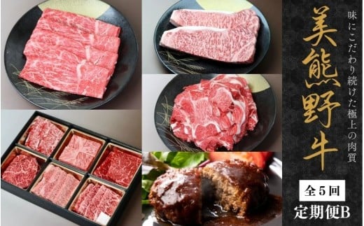 [全5回]美熊野牛 定期便B [すき焼きしゃぶしゃぶ用ロース&赤身モモ肉 800g・切り落とし 800g・焼肉用6種食べ比べ 500g・サーロインステーキ 300g×2枚・100%ハンバーグ 100g×5個][okad-tkb0024]