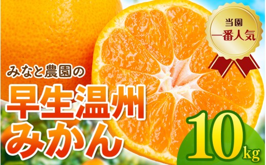 【数量限定】みなと農園の温州みかん 早生 約10kg 2S～Lサイズ混合 【2026年12月上旬頃〜順次発送】 みかん ミカン 蜜柑 温州みかん 温州ミカン 柑橘 フルーツ 果物 くだもの 甘い 旬 人気 産地直送 三重県 熊野市【mntf0010】
