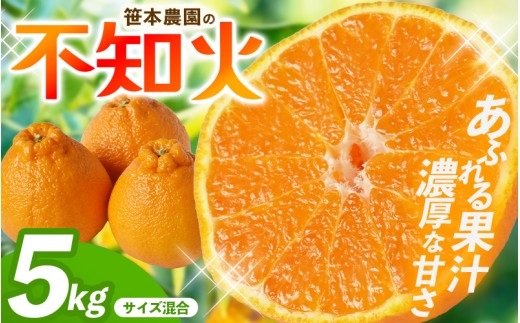 【数量限定】不知火 笹本農園の不知火 約5kg サイズ混合 【2027年3月上旬頃〜順次発送】  不知火デコポン みかん ミカン 蜜柑 しらぬい 柑橘 フルーツ 果物 くだもの 甘い 旬 人気 果汁 濃厚 産地直送 国産 お取り寄せ 期間限定 三重県 熊野市【ssmt0001】