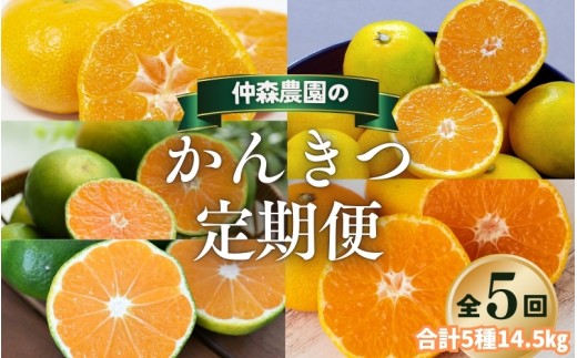 【全5回】仲森農園の柑橘定期便 合計5種 14.5kg 【温室みかん・超極早生温州「みえ紀南一号」・極早生温州・由良早生・早生温州「完熟熊野みかん」】 みかん ミカン 蜜柑 温州みかん 温州ミカン 柑橘 みかん定期便 フルーツ定期便 果物定期便 柑橘定期便 フルーツ 果物 くだもの 甘い 旬 人気 産地直送 三重県 熊野市【nkmr-tkb0001】