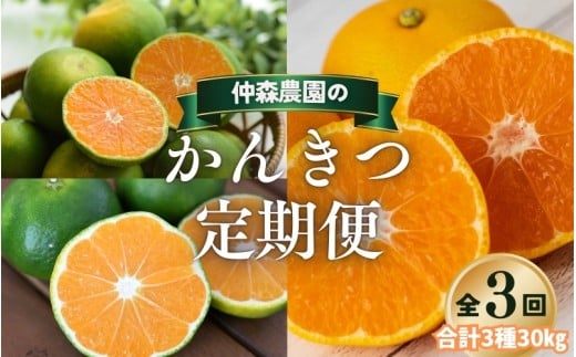 【全3回】仲森農園の柑橘定期便 合計3種 30kg 【超極早生温州「みえ紀南一号」・極早生温州・早生温州「完熟熊野みかん」】 みかん ミカン 蜜柑 温州みかん 温州ミカン 柑橘 みかん定期便 フルーツ定期便 果物定期便 柑橘定期便 フルーツ 果物 くだもの 甘い 旬 人気 産地直送 三重県 熊野市【nkmr-tkb0018】