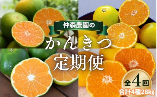【全4回】仲森農園の柑橘定期便 合計4種 28kg 【超極早生温州「みえ紀南一号」・極早生温州・由良早生・早生温州「完熟熊野みかん」】 みかん ミカン 蜜柑 温州みかん 温州ミカン 柑橘 みかん定期便 フルーツ定期便 果物定期便 柑橘定期便 フルーツ 果物 くだもの 甘い 旬 人気 産地直送 三重県 熊野市【nkmr-tkb0005】