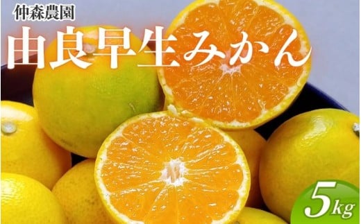 仲森農園の由良早生みかん 約5kg みかん ミカン 蜜柑 温州みかん 温州ミカン 柑橘 フルーツ 果物 くだもの 早生 甘い 旬 希少 数量限定 期間限定 産地直送 三重県 熊野市【2026年11月上旬頃～11月中旬頃に順次発送】【nkmr0020】