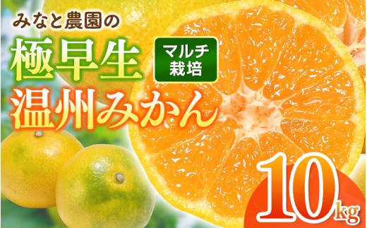 【数量限定】みなと農園の極早生温州みかん  約10kg 2S～Lサイズ混合 マルチ栽培 【2026年10月上旬頃〜順次発送】 みかん ミカン 蜜柑 温州みかん 温州ミカン 柑橘 フルーツ 果物 くだもの 極早生 甘い 旬 人気 産地直送 三重県 熊野市【mntf0004】