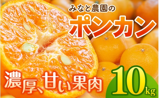 ãæ°ééå®ãã¿ãªãšèŸ²åã®ãã³ã«ã³ çŽ10kg ã2027幎2æäžæ¬é ãé æ¬¡çºéã ã¿ãã ãã«ã³ èæ ãã³ã«ã³ ææ© ãã«ãŒã æç© ãã ãã® çã æ¬ äººæ° ç£å°çŽé äžéç çéåžãmntf0012ã