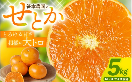 【数量限定】せとか 笹本農園のせとか 約5kg M～2Lサイズ混合 【2027年3月上旬頃〜順次発送】 みかん ミカン 蜜柑 柑橘 フルーツ 果物 くだもの 甘い 旬 人気 果汁 濃厚 産地直送 国産 お取り寄せ 期間限定 三重県 熊野市【ssmt0002】