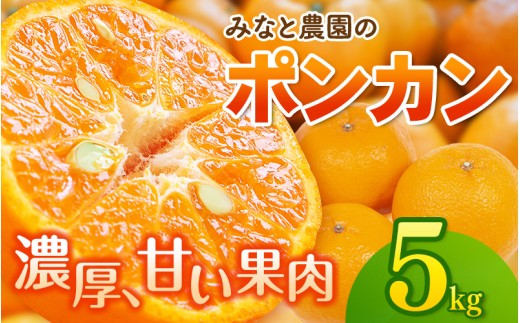 ãæ°ééå®ãã¿ãªãšèŸ²åã®ãã³ã«ã³ çŽ5kg ã2027幎2æäžæ¬é ãé æ¬¡çºéã ã¿ãã ãã«ã³ èæ ãã³ã«ã³ ææ© ãã«ãŒã æç© ãã ãã® çã æ¬ äººæ° ç£å°çŽé äžéç çéåžãmntf0011ã