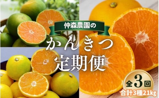 【全3回】仲森農園の柑橘定期便 合計3種 21kg 【超極早生温州「みえ紀南一号」・由良早生・早生温州「完熟熊野みかん」】 みかん ミカン 蜜柑 温州みかん 温州ミカン 柑橘 みかん定期便 フルーツ定期便 果物定期便 柑橘定期便 フルーツ 果物 くだもの 甘い 旬 人気 産地直送 三重県 熊野市【nkmr-tkb0021】