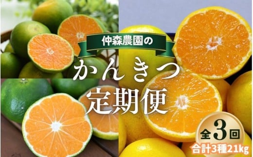 【全3回】仲森農園の柑橘定期便 合計3種 21kg 【超極早生温州「みえ紀南一号」・極早生温州・由良早生】 みかん ミカン 蜜柑 温州みかん 温州ミカン 柑橘 みかん定期便 フルーツ定期便 果物定期便 柑橘定期便 フルーツ 果物 くだもの 甘い 旬 人気 産地直送 三重県 熊野市【nkmr-tkb0009】