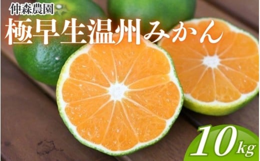 仲森農園の極早生温州みかん 約10kg みかん ミカン 蜜柑 温州みかん 温州ミカン 柑橘 フルーツ 果物 くだもの 甘い 旬 数量限定 期間限定 産地直送 10000円 三重県 熊野市【2026年9月下旬頃～10月下旬頃に順次発送】【nkmr0018】