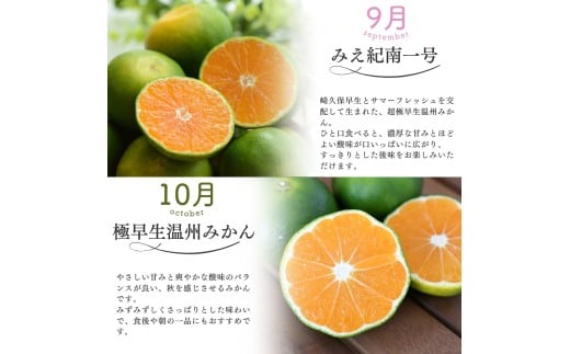 【全4回】仲森農園の柑橘定期便 合計4種 40kg 【超極早生温州「みえ紀南一号」・極早生温州・由良早生・早生温州「完熟熊野みかん」】 みかん ミカン 蜜柑 温州みかん 温州ミカン 柑橘 みかん定期便 フルーツ定期便 果物定期便 柑橘定期便 フルーツ 果物 くだもの 甘い 旬 人気 産地直送 三重県 熊野市【nkmr-tkb0006】