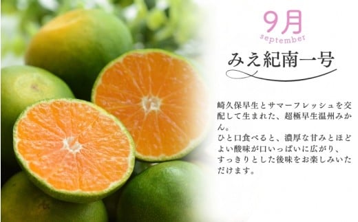 【全3回】仲森農園の柑橘定期便 合計3種 9kg 【超極早生温州「みえ紀南一号」・極早生温州・由良早生】 みかん ミカン 蜜柑 温州みかん 温州ミカン 柑橘 みかん定期便 フルーツ定期便 果物定期便 柑橘定期便 フルーツ 果物 くだもの 甘い 旬 人気 産地直送 三重県 熊野市【nkmr-tkb0007】