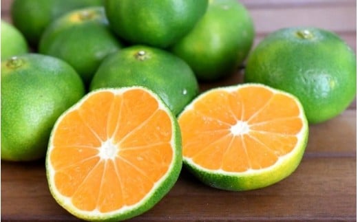 仲森農園の超極早生温州みかん みえ紀南一号 約10kg みかん ミカン 蜜柑 温州みかん 温州ミカン 柑橘 フルーツ 果物 くだもの 甘い 旬 数量限定 期間限定 産地直送 三重県 熊野市【2026年9月上旬頃～9月下旬頃に順次発送】【nkmr0014】