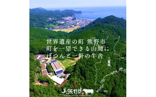 美熊野牛 サーロインステーキ 約300g×2枚 牛肉 肉 ステーキ サーロイン ブランド牛 和牛 黒毛和牛 国産牛 霜降り 霜降り肉 人気 希少 おすすめ 三重県 熊野市【okad0010】