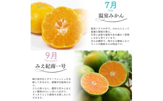 ãå
š5åã仲森蟲åã®ææ©å®æäŸ¿ åèš5çš® 22.5kg ãæž©å®€ã¿ããã»è¶
極æ©çæž©å·ãã¿ãçŽåäžå·ãã»æ¥µæ©çæž©å·ã»ç±è¯æ©çã»æ©çæž©å·ãå®ççéã¿ãããã ã¿ãã ãã«ã³ èæ æž©å·ã¿ãã æž©å·ãã«ã³ ææ© ã¿ããå®æäŸ¿ ãã«ãŒãå®æäŸ¿ æç©å®æäŸ¿ ææ©å®æäŸ¿ ãã«ãŒã æç© ãã ãã® çã æ¬ äººæ° ç£å°çŽé äžéç çéåžãnkmr-tkb0002ã