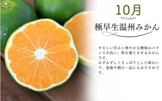 【全3回】仲森農園の柑橘定期便 合計3種 30kg 【極早生温州・由良早生・早生温州「完熟熊野みかん」】 みかん ミカン 蜜柑 温州みかん 温州ミカン 柑橘 みかん定期便 フルーツ定期便 果物定期便 柑橘定期便 フルーツ 果物 くだもの 甘い 旬 人気 産地直送 三重県 熊野市【nkmr-tkb0014】