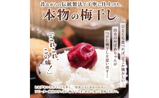 【 梅干し 小分け 】 お土産にピッタリ♪ 梅干し 無添加 南高梅 小分けタイプ 昔ながらのすっぱい しそ漬け梅干し 500g (100g×5P) 梅干し 梅干 梅 うめ ウメ しそ梅干し しそ梅 人気 国産 梅干し お取り寄せ おすすめ 梅干し お弁当 梅干し 健康食品 南高梅干し 三重県 熊野市【frsn0031A】
