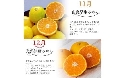 【全4回】仲森農園の柑橘定期便 合計4種 40kg 【超極早生温州「みえ紀南一号」・極早生温州・由良早生・早生温州「完熟熊野みかん」】 みかん ミカン 蜜柑 温州みかん 温州ミカン 柑橘 みかん定期便 フルーツ定期便 果物定期便 柑橘定期便 フルーツ 果物 くだもの 甘い 旬 人気 産地直送 三重県 熊野市【nkmr-tkb0006】