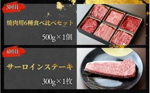 【全4回】美熊野牛 定期便C ＜すき焼きしゃぶしゃぶ用ロース＆赤身モモ肉 400g・切り落とし 400g・焼肉用6種食べ比べ 500ｇ・サーロインステーキ 300g×1枚＞  牛肉 肉 ブランド牛 和牛 黒毛和牛 国産牛 すき焼き しゃぶしゃぶ 赤身 赤身肉 焼肉 ステーキ サーロイン 肉定期便 人気 希少 おすすめ 三重県 熊野市【okad-tkb0021】