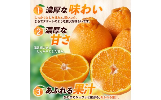【数量限定】不知火 笹本農園の不知火 約5kg サイズ混合 【2027年3月上旬頃〜順次発送】  不知火デコポン みかん ミカン 蜜柑 しらぬい 柑橘 フルーツ 果物 くだもの 甘い 旬 人気 果汁 濃厚 産地直送 国産 お取り寄せ 期間限定 三重県 熊野市【ssmt0001】