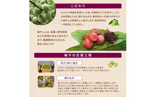 【 梅干し 小分け 】 お土産にピッタリ♪ 梅干し 無添加 南高梅 小分けタイプ 昔ながらのすっぱい しそ漬け梅干し 500g (100g×5P) 梅干し 梅干 梅 うめ ウメ しそ梅干し しそ梅 人気 国産 梅干し お取り寄せ おすすめ 梅干し お弁当 梅干し 健康食品 南高梅干し 三重県 熊野市【frsn0031A】