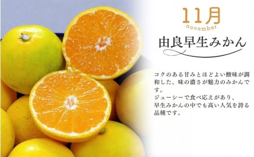 【全3回】仲森農園の柑橘定期便 合計3種 30kg 【超極早生温州「みえ紀南一号」・由良早生・早生温州「完熟熊野みかん」】 みかん ミカン 蜜柑 温州みかん 温州ミカン 柑橘 みかん定期便 フルーツ定期便 果物定期便 柑橘定期便 フルーツ 果物 くだもの 甘い 旬 人気 産地直送 三重県 熊野市【nkmr-tkb0022】