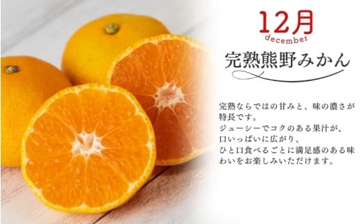 【全3回】仲森農園の柑橘定期便 合計3種 30kg 【極早生温州・由良早生・早生温州「完熟熊野みかん」】 みかん ミカン 蜜柑 温州みかん 温州ミカン 柑橘 みかん定期便 フルーツ定期便 果物定期便 柑橘定期便 フルーツ 果物 くだもの 甘い 旬 人気 産地直送 三重県 熊野市【nkmr-tkb0014】