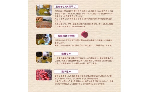 【 梅干し 小分け 】 お土産にピッタリ♪ 梅干し 無添加 南高梅 小分けタイプ 昔ながらのすっぱい しそ漬け梅干し 500g (100g×5P) 梅干し 梅干 梅 うめ ウメ しそ梅干し しそ梅 人気 国産 梅干し お取り寄せ おすすめ 梅干し お弁当 梅干し 健康食品 南高梅干し 三重県 熊野市【frsn0031A】